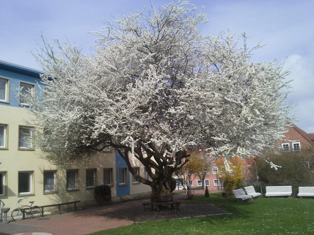 Hotel Bertramshof Wismar Luaran gambar